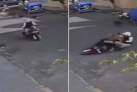 Perro aterriza encina de un motociclista y cusa una estrepitosa caída
