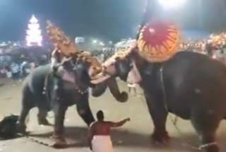 Lo que empezó como una celebración religiosa terminó en tragedia por el ataque de dos elefantes.