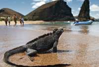 Las islas Galápagos presentan números positivos en el turismo.